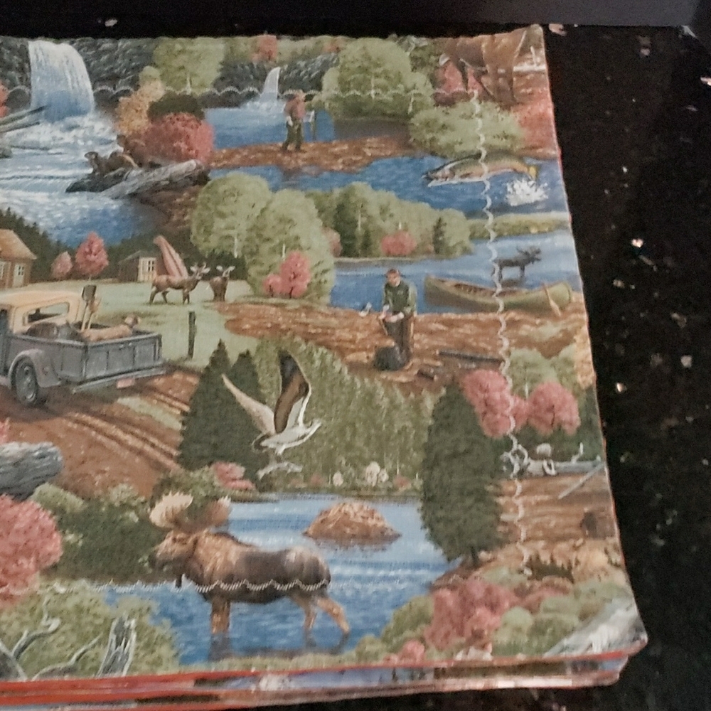 Scenic Print Placemats Set - Picture 4 of 4